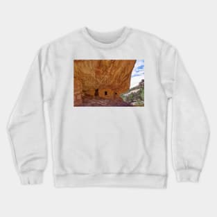850_7300 Crewneck Sweatshirt